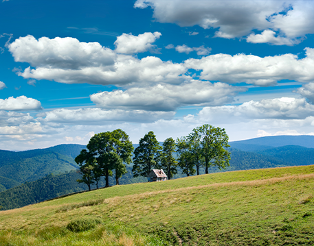 Nature / Landscapes