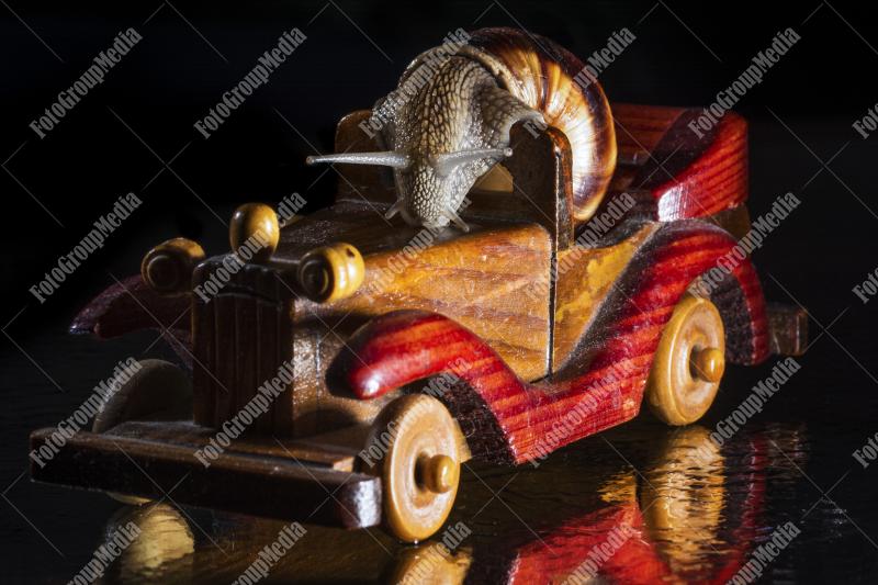 Snail ready to cruise