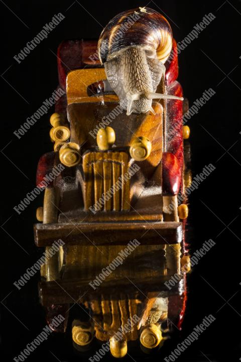 Snail and wooden toy car isolated on black background
