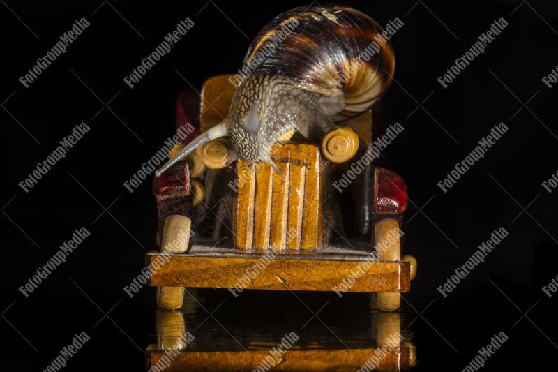 Giant snail ready to cruise