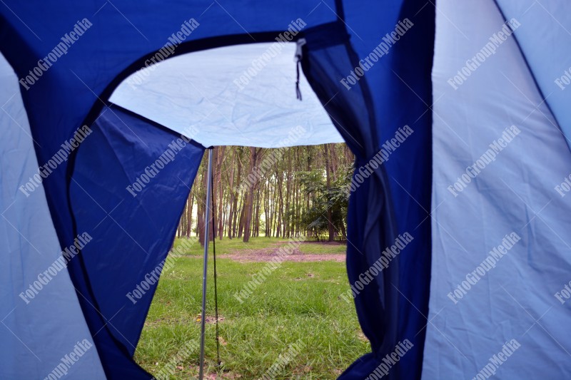 Forest seen from tent entrance