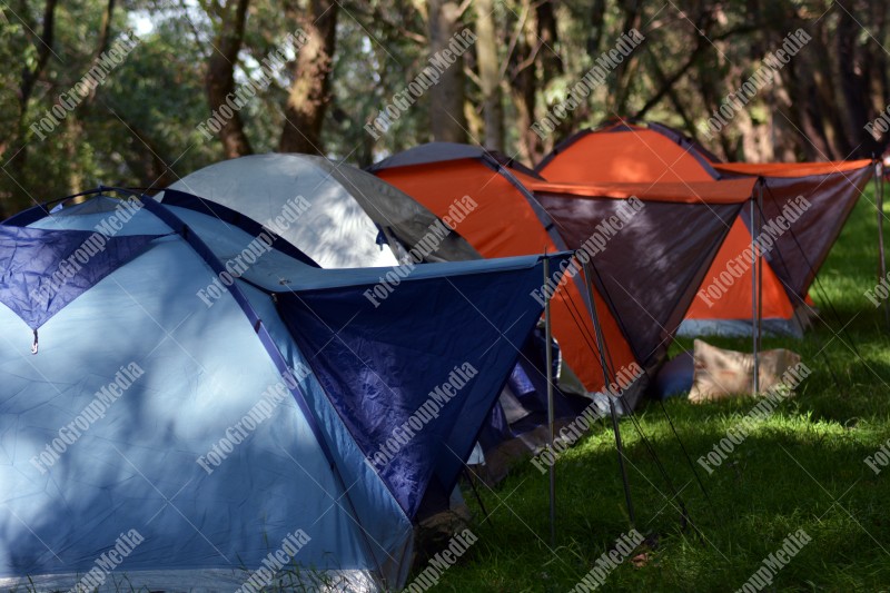 Tents in a row