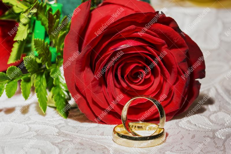 Red rose and wedding rings