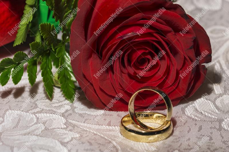 Wedding rings and red rose