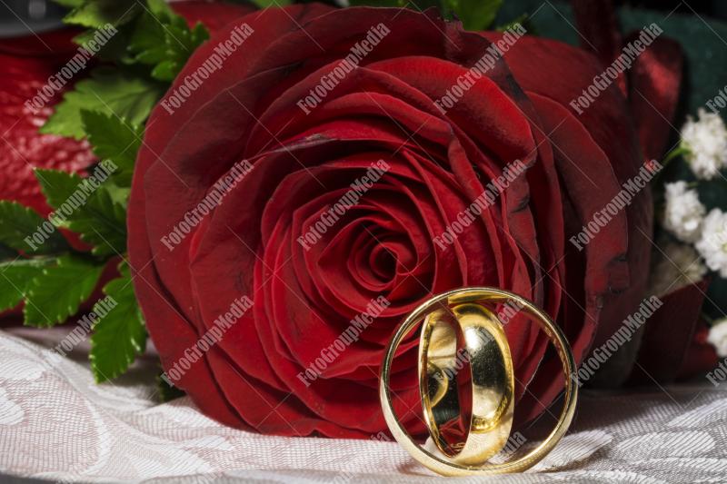 Red rose and wedding rings