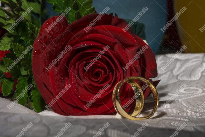 Wedding rings and red rose