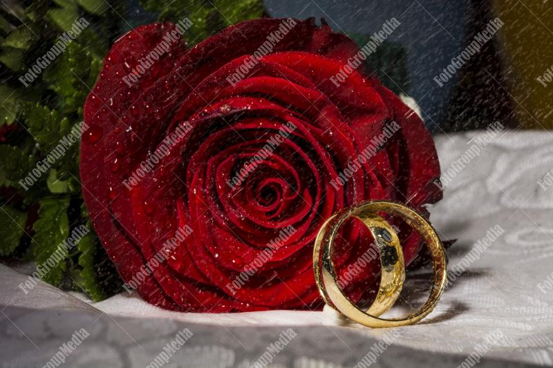 Red rose and wedding rings