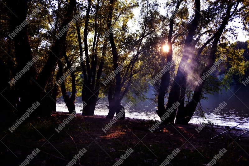 Sunset, river and forest, perfect scene