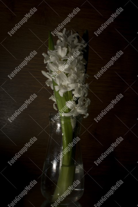 White hyancith in a jar