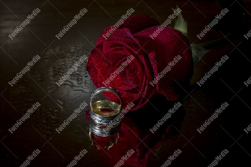 Red rose and wedding rings