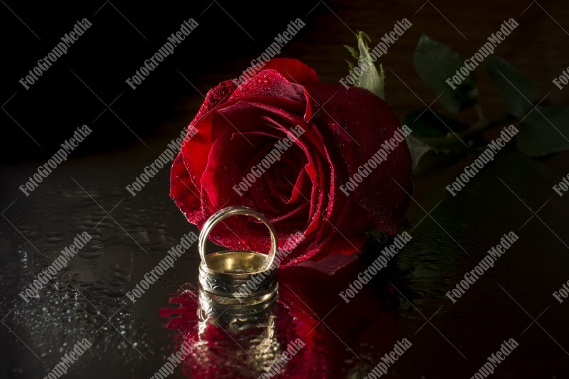 Red rose and wedding rings