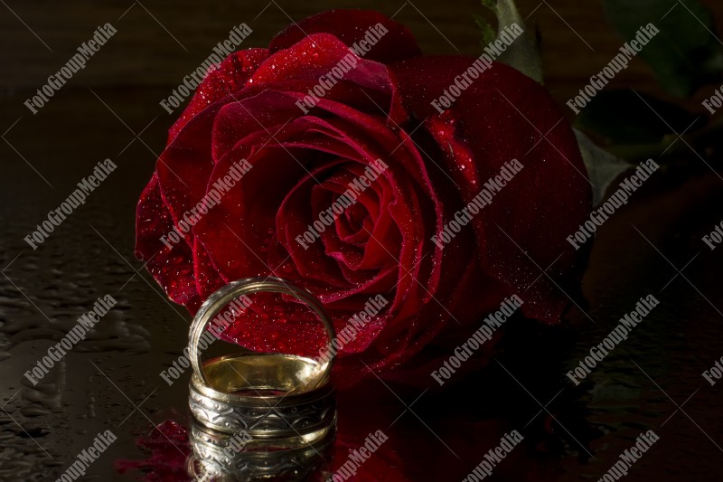 Red rose and wedding rings