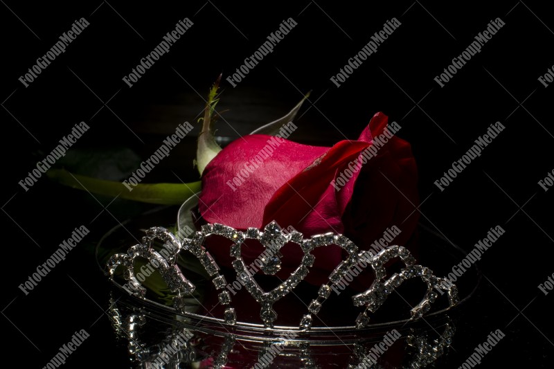 Red rose and tiara