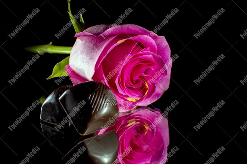 Pink rose and chocolate isolated on mirror