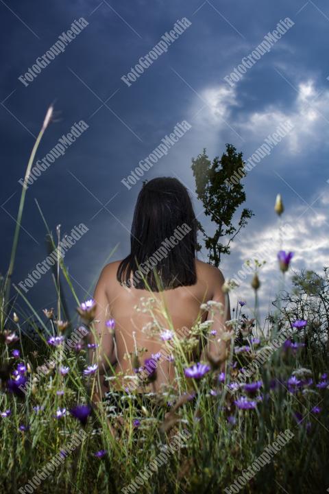 Portrait of a young brunette girl in a field of wild flowers