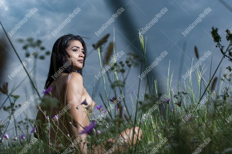 Portrait of a young brunette girl in a field of wild flowers