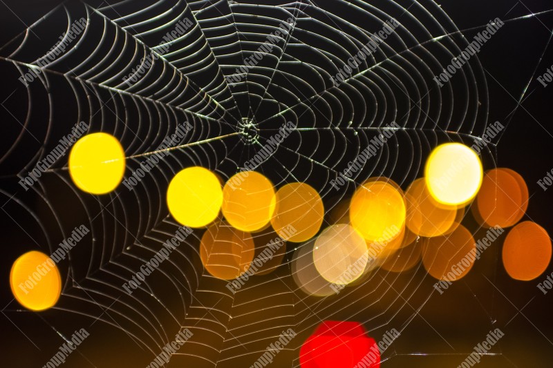 Macro shot of spider net at night with city lights