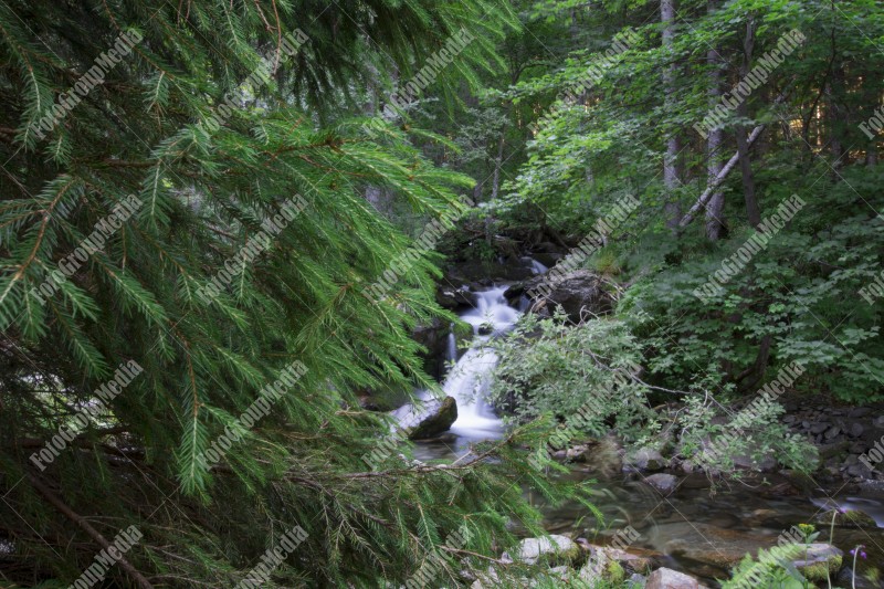 Waterfall, mountain river in the Carpathians Mountains