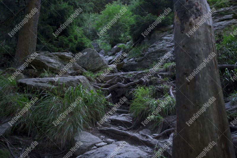 Waterfall on mountain river in Carpathian Mountains, Romania