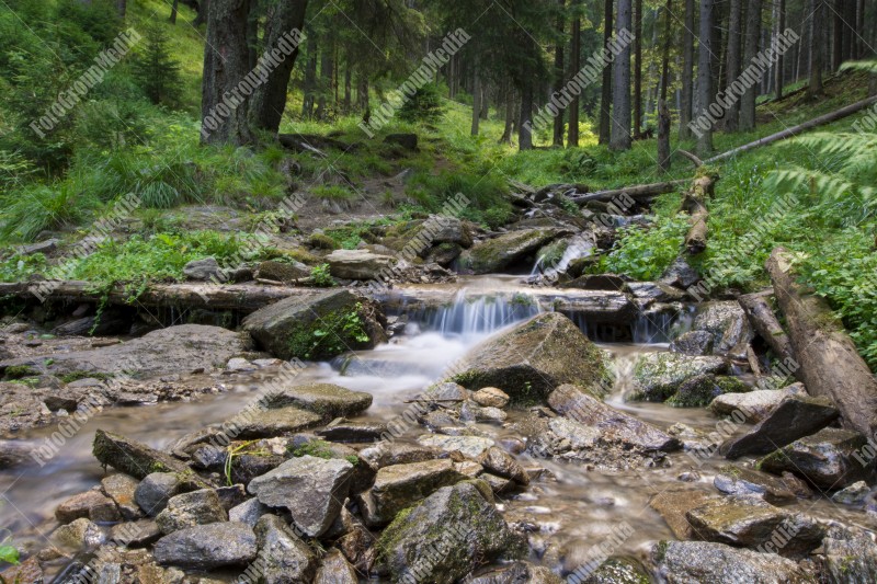 Waterfall on mountain river in Carpathian Mountains, Romania