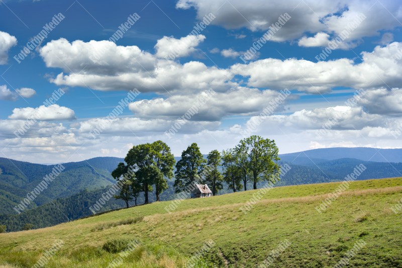 Panoramic view over Carpathian Mountains