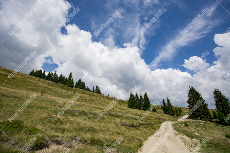 Dirt road used by shepherds on the mountain