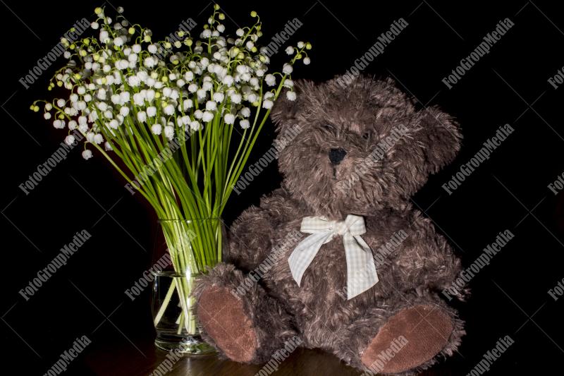 Lilly of the valley and Teddy