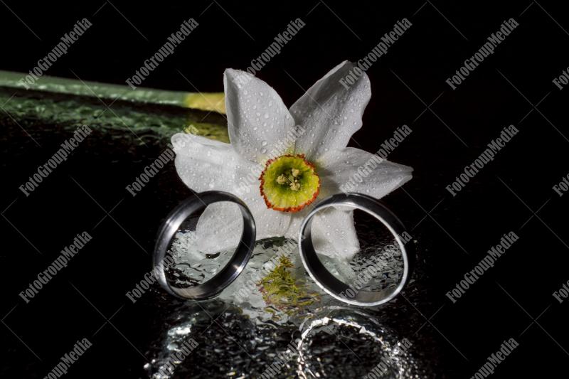 Daffodil and wedding rings