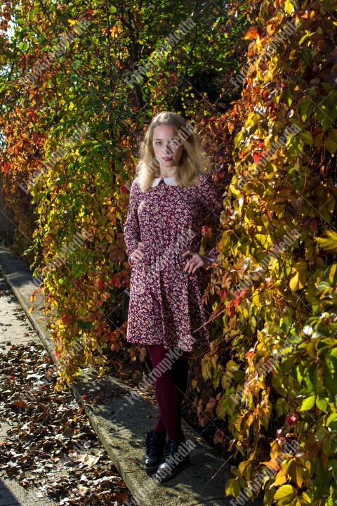 Blond girl posing in autumn day on colorful leafs background