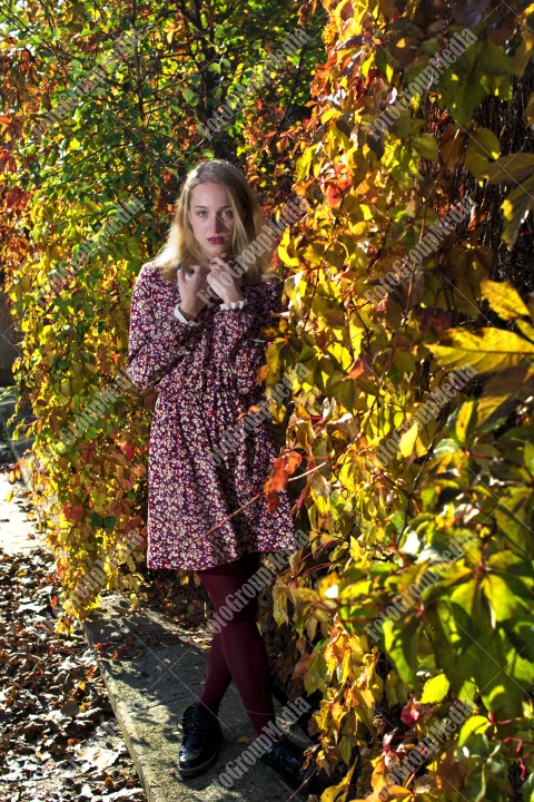 Blond girl posing in autumn day on colorful leafs background