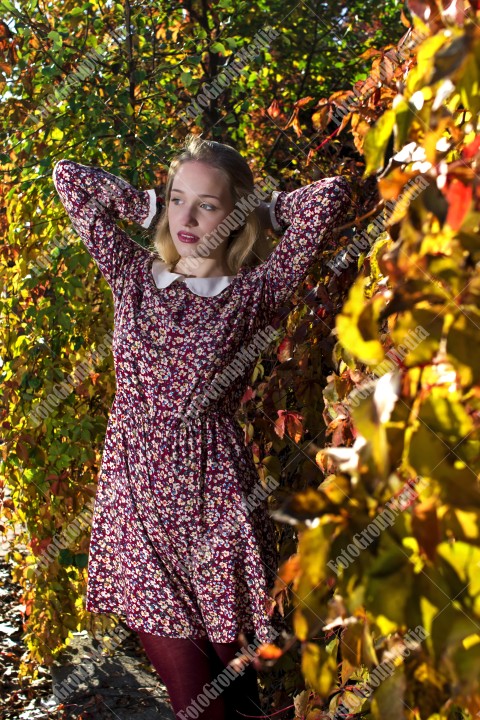 Blond girl posing in autumn day on colorful leafs background