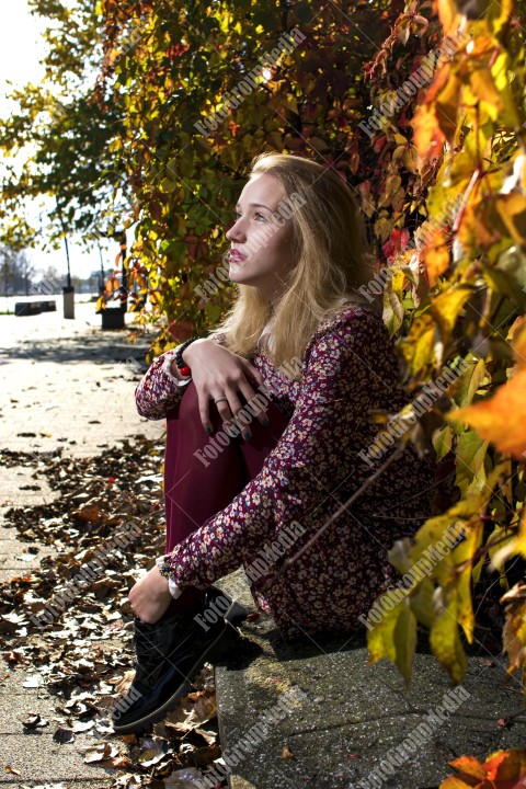 Blond girl posing in autumn day on colorful leafs background